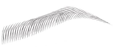 Diseño de cejas Cejas Sol
